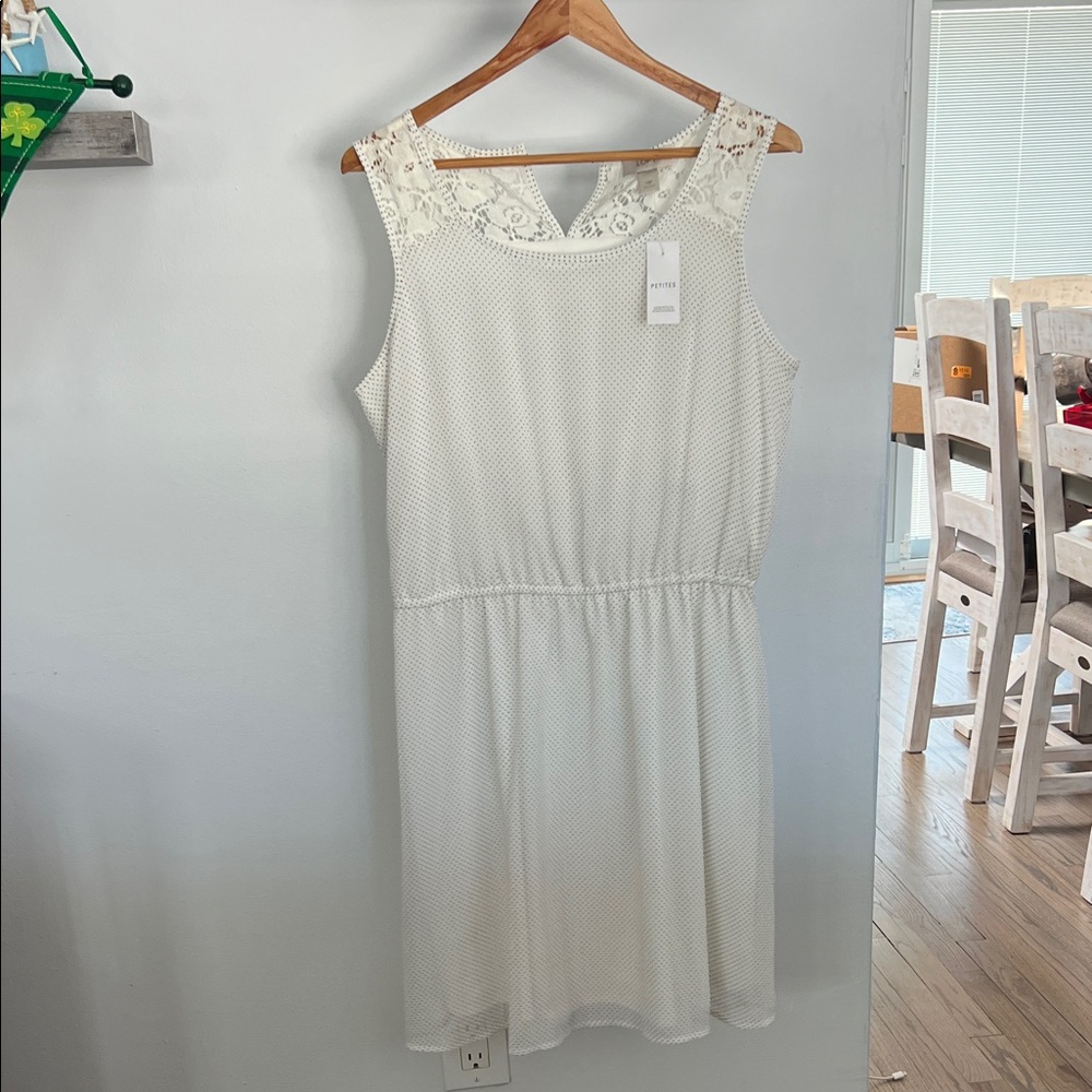 LOFT Cream Lace Midi Dress